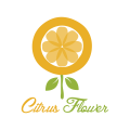 Logo citrus
