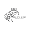 logo de Hawk King