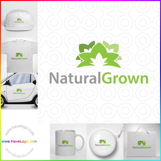 Koop een natuurlijke producten logo - ID:46089