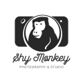 logo de Shy Monkey