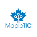 logo de Digital Maple