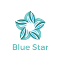 Logo Blue Star