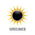 Logo sun