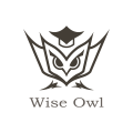 logo de Wise Owl
