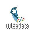 logo de Wisedata