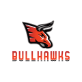 Bullhawks Logo