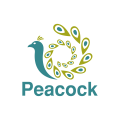  Peacock  logo