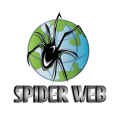 логотип паук