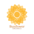 логотип цветочные