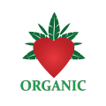 健康 Logo