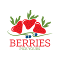 berries festival Logo