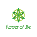 Blume des Lebens logo