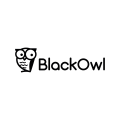  BlackOwl  logo
