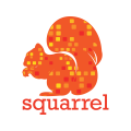 squirrel Logo