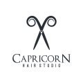  capricorn  logo