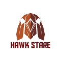 логотип Hawk Stare
