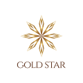 логотип Золотая звезда