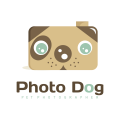 логотип собака фотограф фотографии