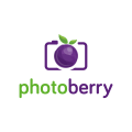 blueberry Logo