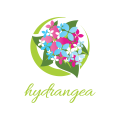  Hydrangea  logo