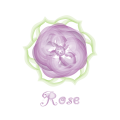 логотип розовый