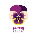логотип панси студия