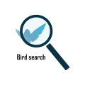 鳥の検索エンジンロゴ