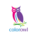 彩色的貓頭鷹Logo