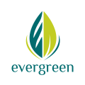 логотип вечнозеленые