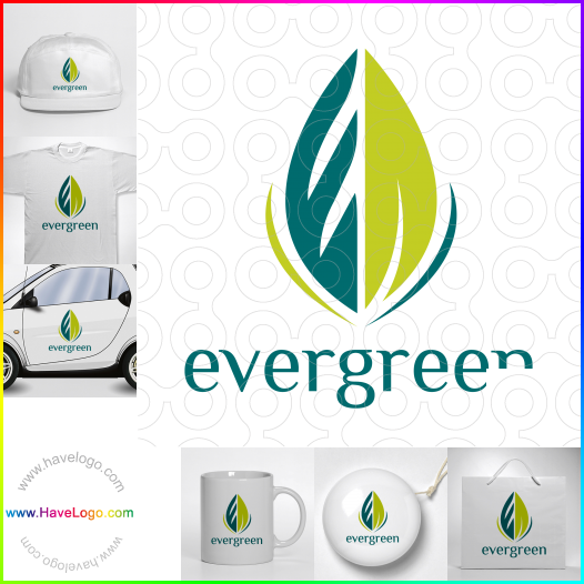 buy evergreen logo 10728