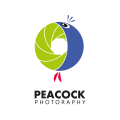 Fotostudio Logo