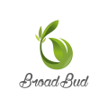  Broad Bud  logo
